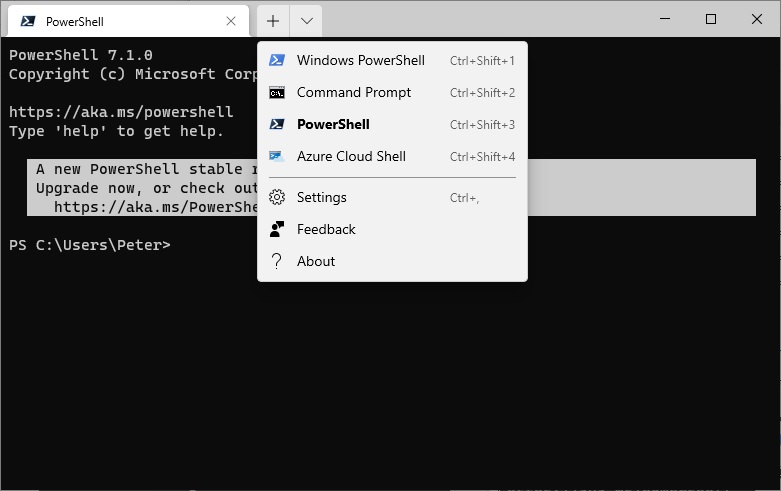 Windows Terminal
